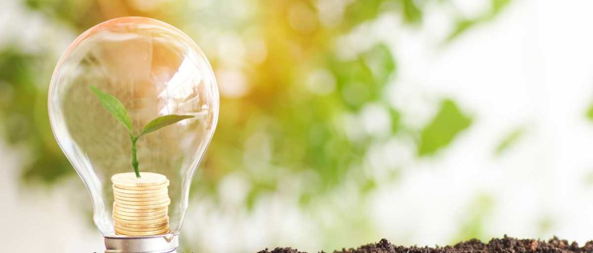 Transition écologique les professions